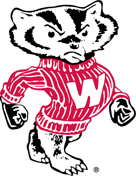 Wisconsin Badgers 1970-2003 Secondary Logo t shirts iron on transfers